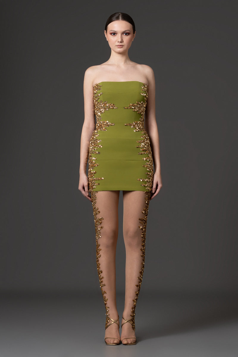 Corseted short crêpe dress paired with tulle embroidered leggings