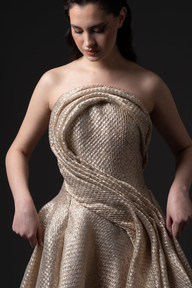 A pleated A-line Jacquard gown