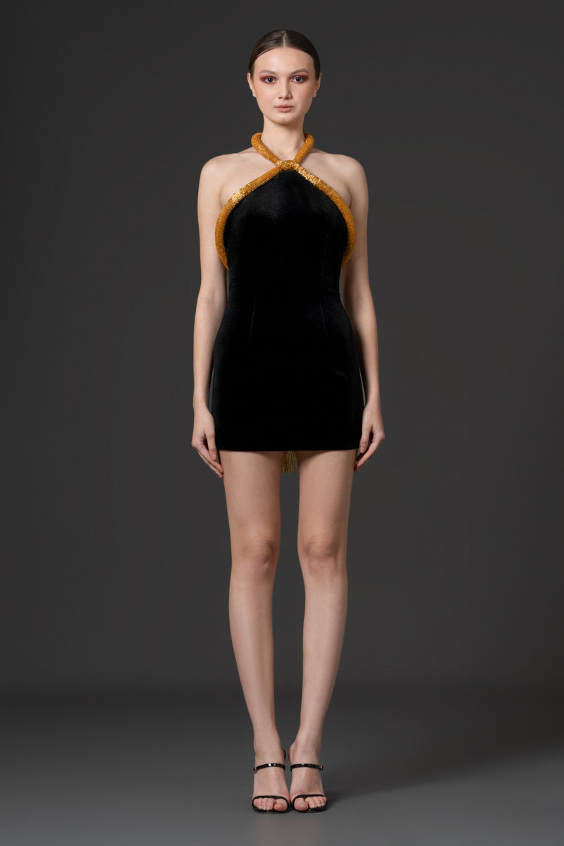 Velvet mini dress featuring an embroidered neckline with fringes