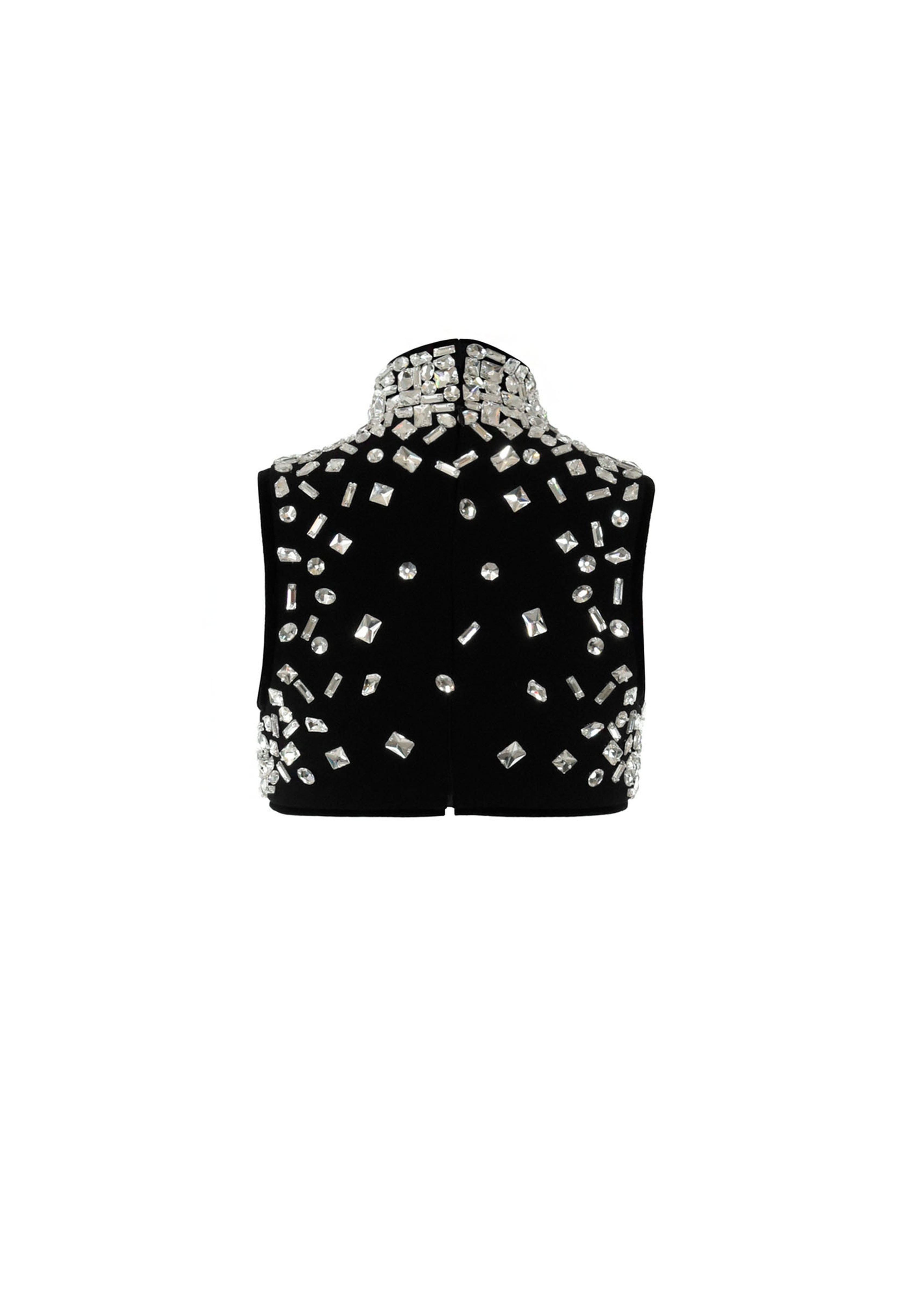 High necked crystal embroidered cropped top