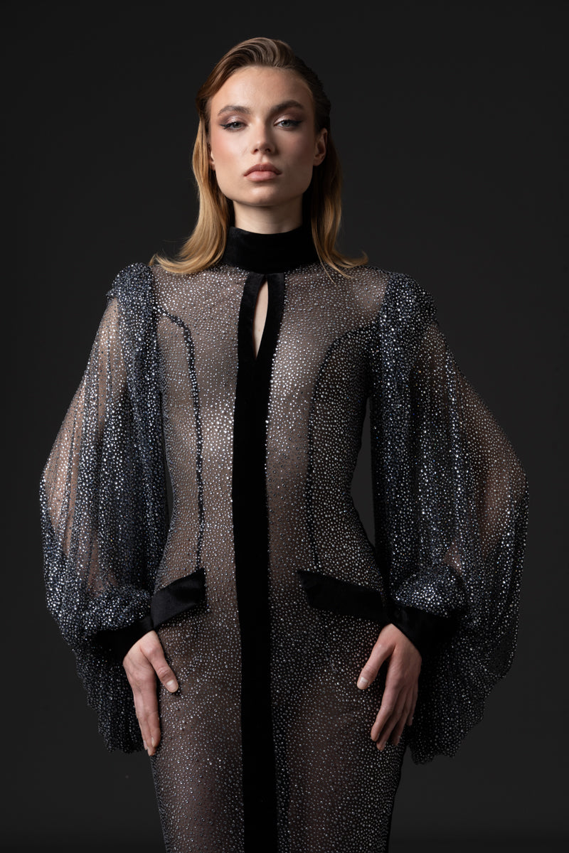 A fitted gown with a high neckline, sheer embroidered tulle, and puffed sleeves