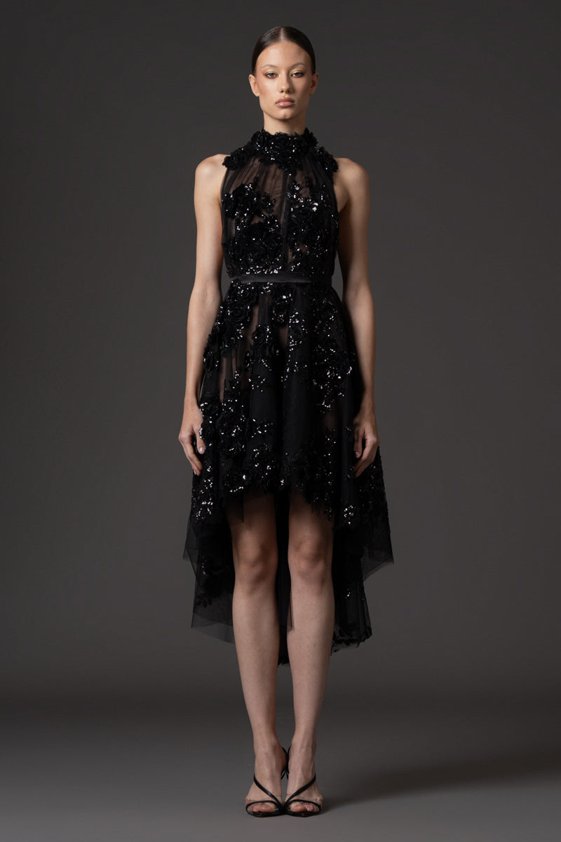 Halter neck Black embroidered tulle dress.