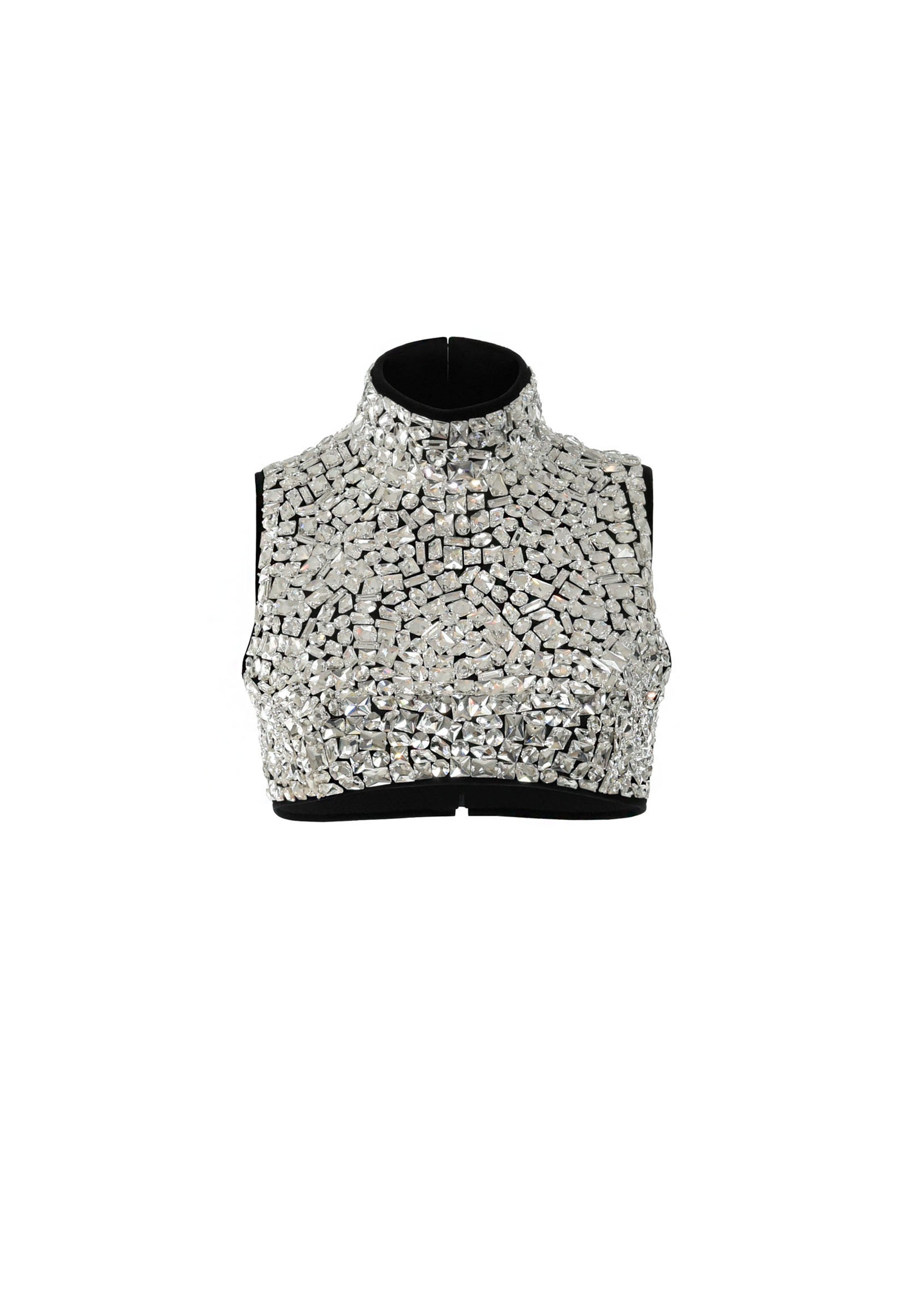 Crystal embroidered cropped top 