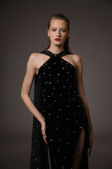 Black embroidered velvet dress with chiffon train.