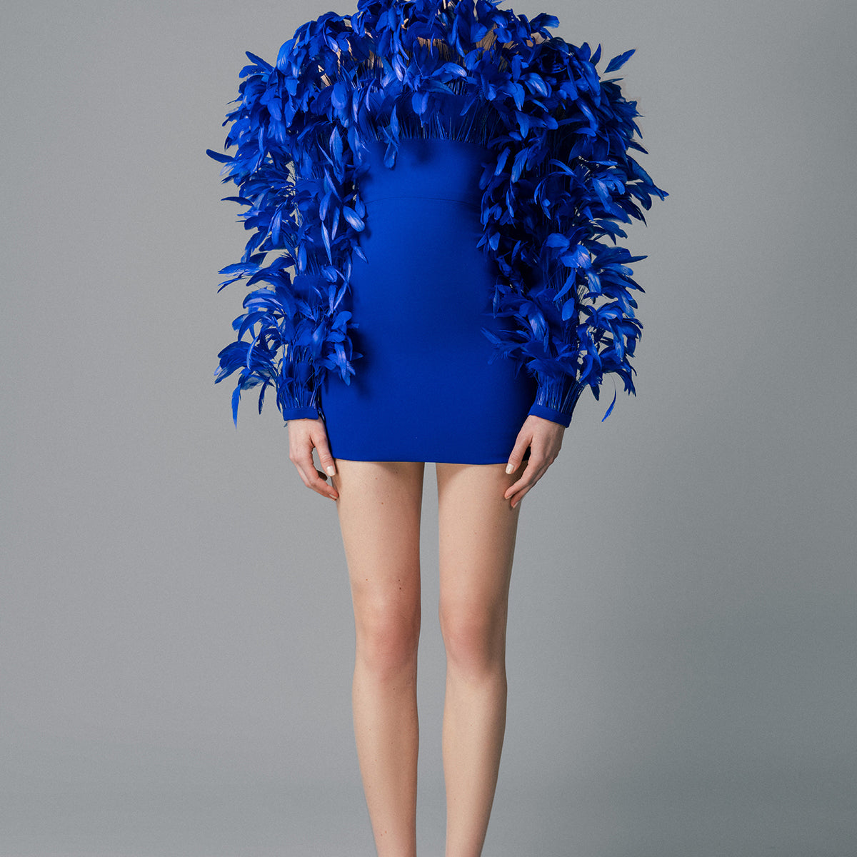 Royal blue mini crêpe dress with feathers on the neckline and sleeves
