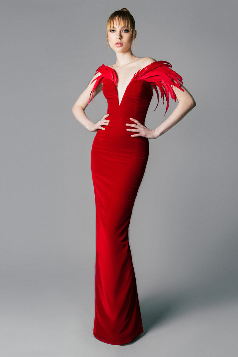 Deep red velvet dress with feathers